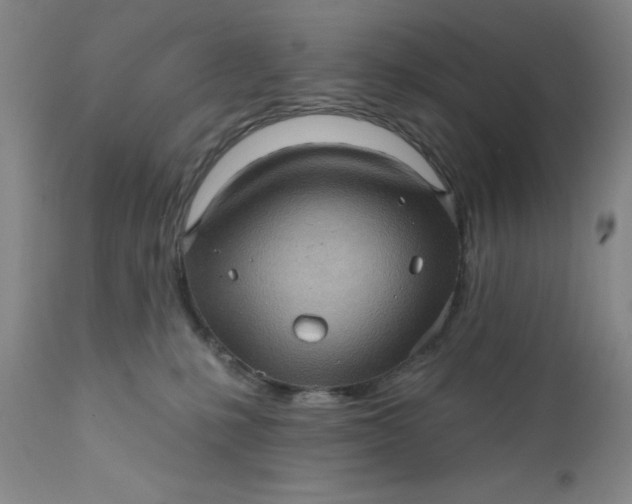 X0000112160231200908281412