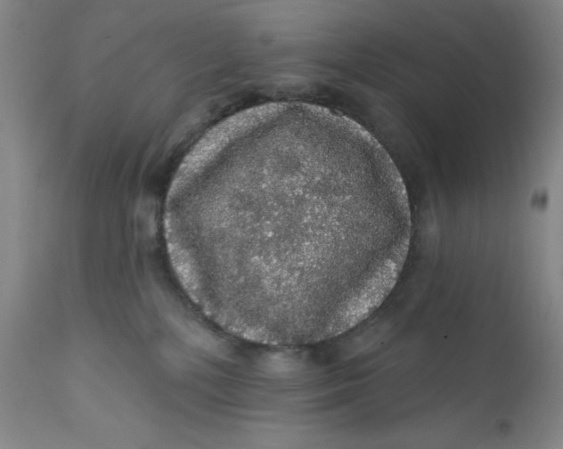 X0000112160232200908281412
