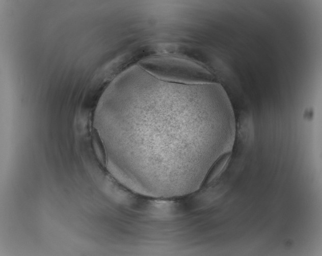 X0000112160233200908281412