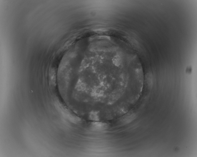 X0000112160234200908281411