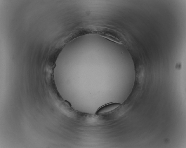X0000112160235200908281411