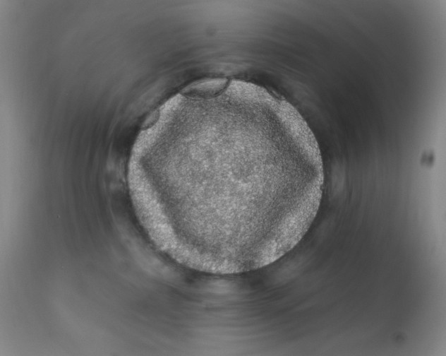 X0000112160236200908281411