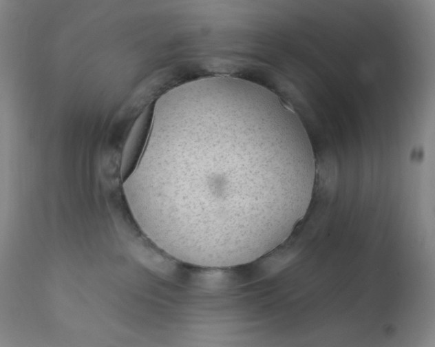 X0000112160237200908281411