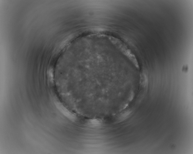 X0000112160238200908281411