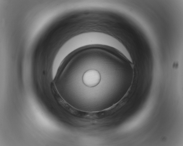 X0000112160239200908281411