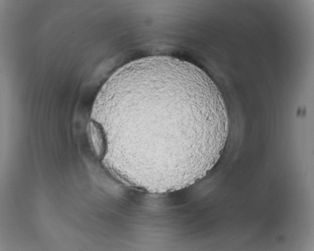 X0000112160240200908281411
