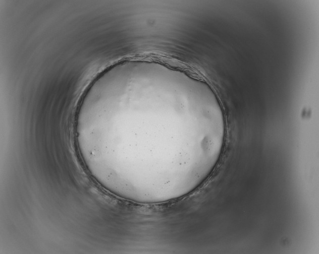 X0000112160241200908281410