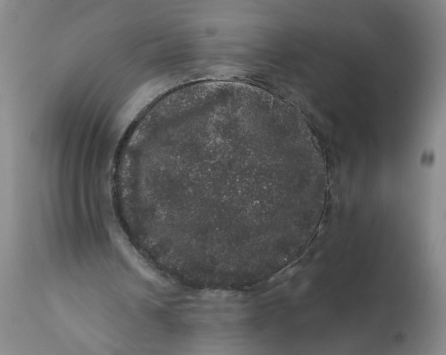 X0000112160242200908281410