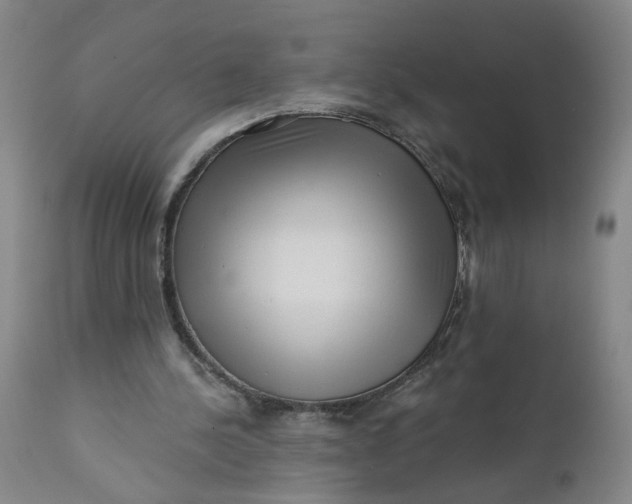 X0000112160244200908281410