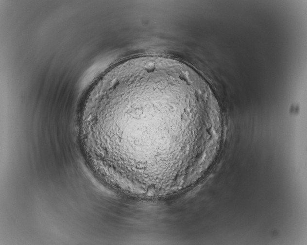 X0000112160245200908281410