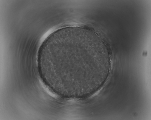 X0000112160246200908281410