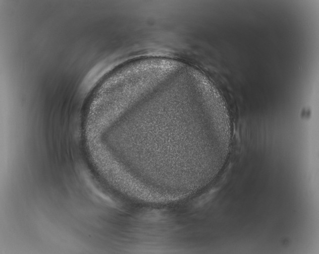 X0000112160247200908281410