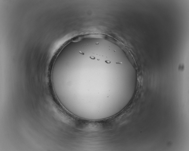 X0000112160248200908281411