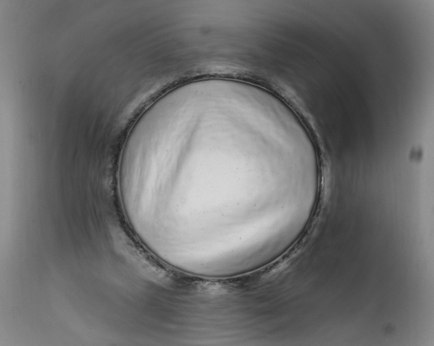 X0000112160249200908281411