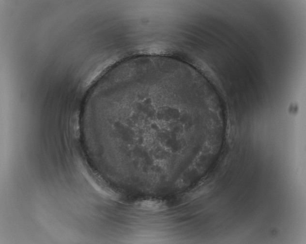 X0000112160251200908281411