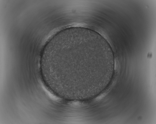 X0000112160253200908281411