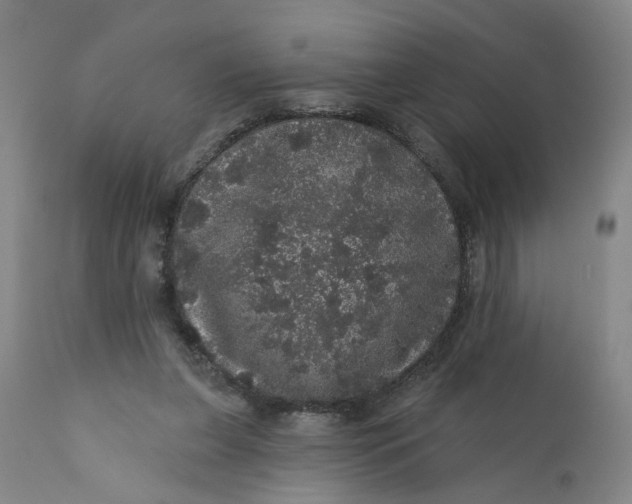 X0000112160255200908281411