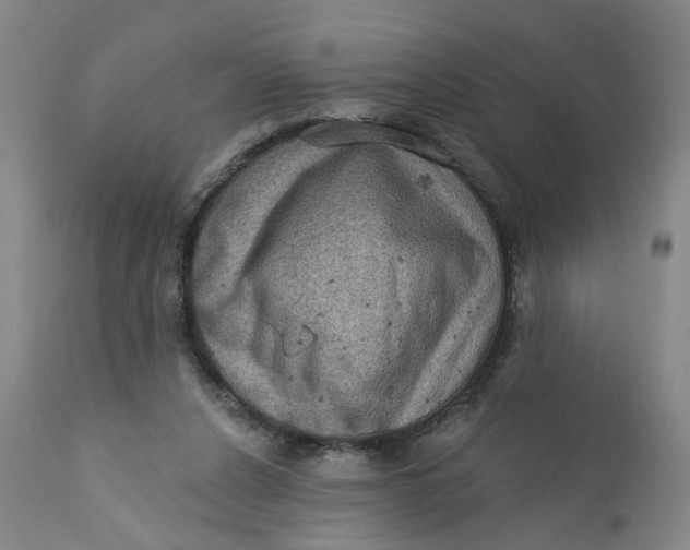 X0000112160256200908281411