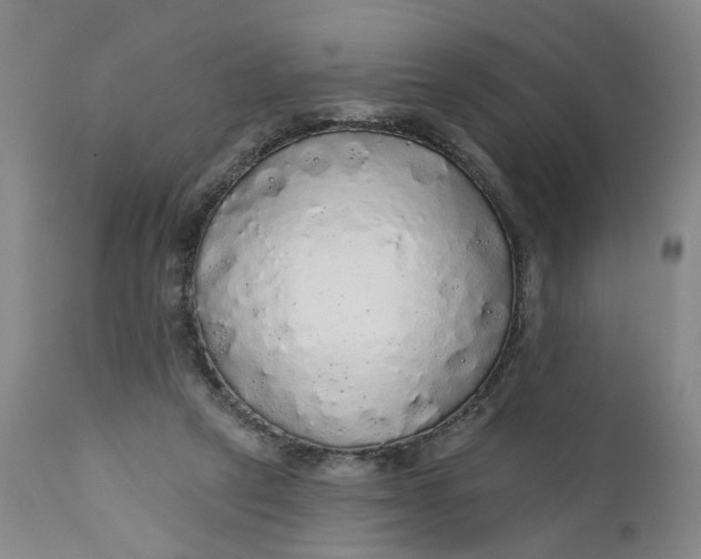 X0000112160257200908281411