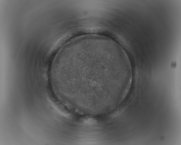 X0000112160258200908281411