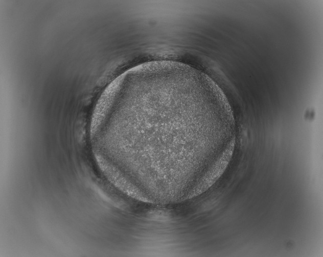 X0000112160259200908281411