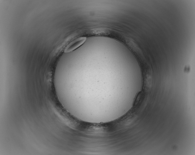 X0000112160260200908281411