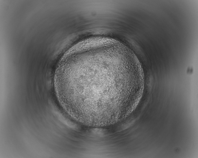 X0000112160261200908281411