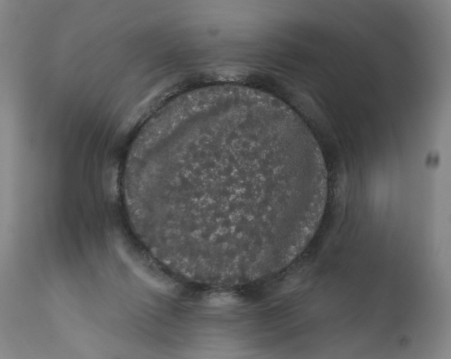 X0000112160262200908281411