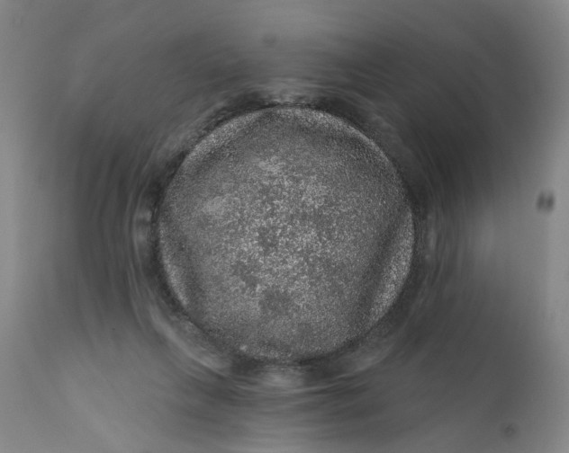 X0000112160263200908281411