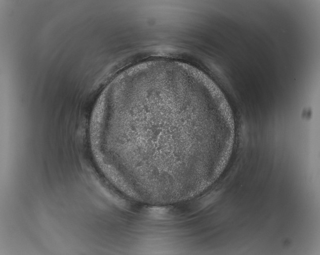 X0000112160265200908281411