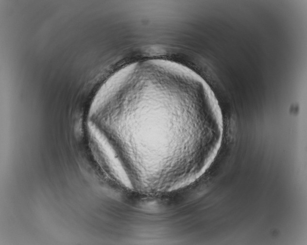 X0000112160267200908281411
