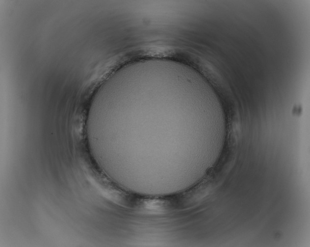 X0000112160268200908281411