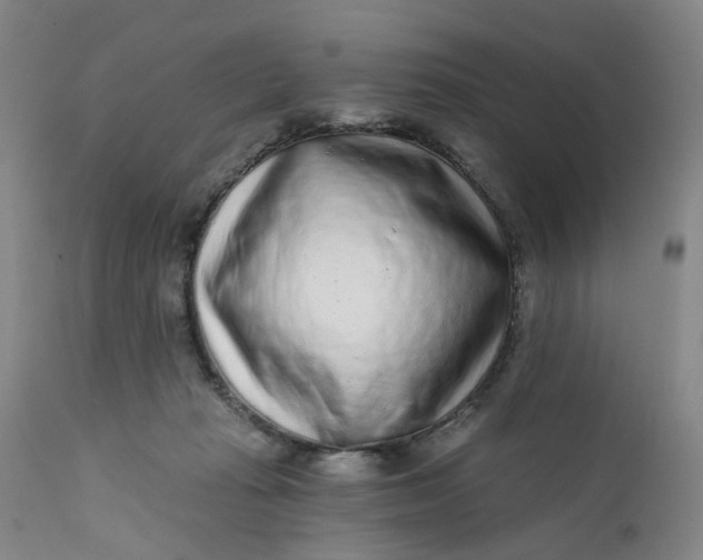 X0000112160269200908281411