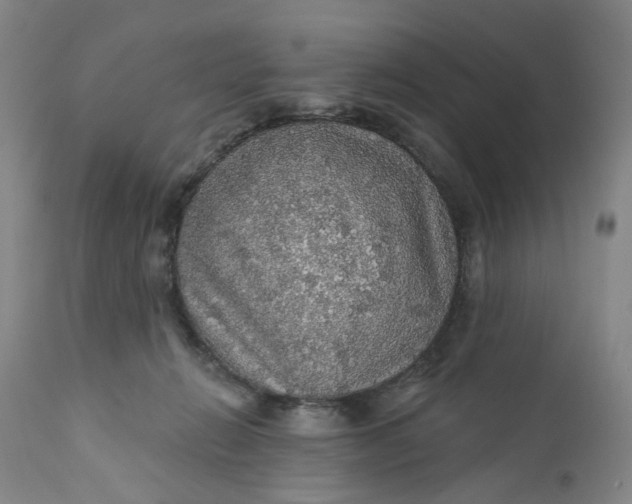 X0000112160270200908281411