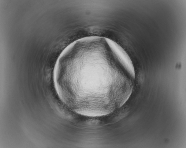 X0000112160271200908281411