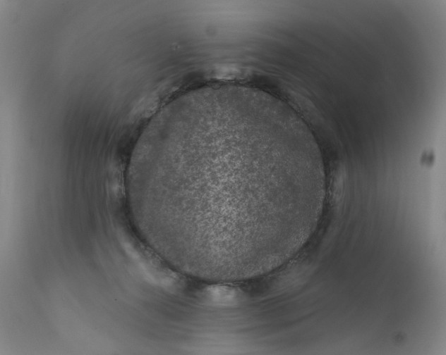X0000112160272200908281411