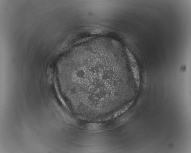 X0000112160273200908281411