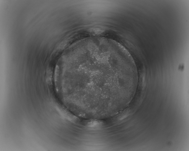 X0000112160274200908281411