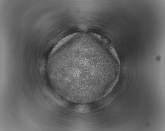 X0000112160275200908281411