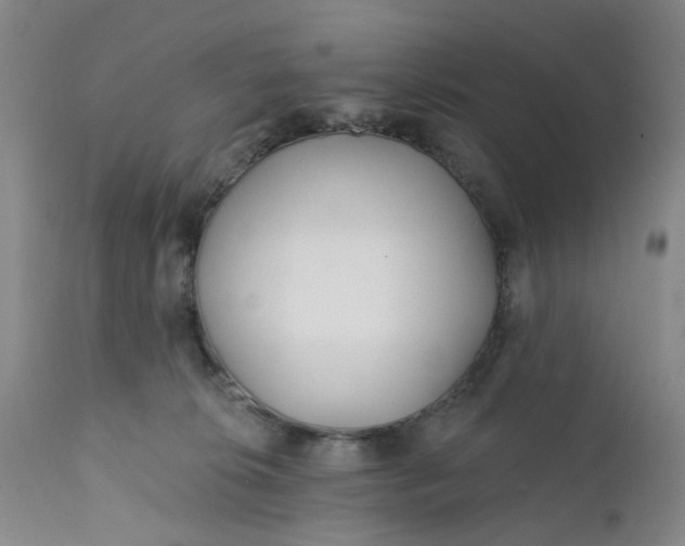 X0000112160276200908281411