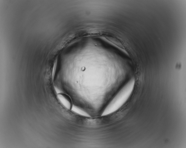 X0000112160277200908281411