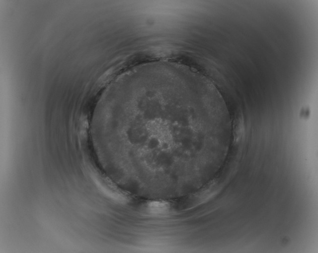 X0000112160279200908281411