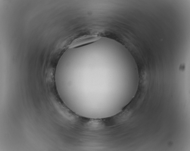 X0000112160280200908281411
