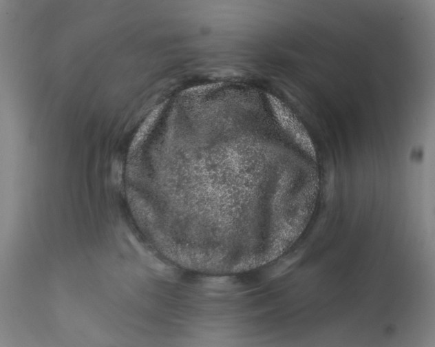 X0000112160281200908281411