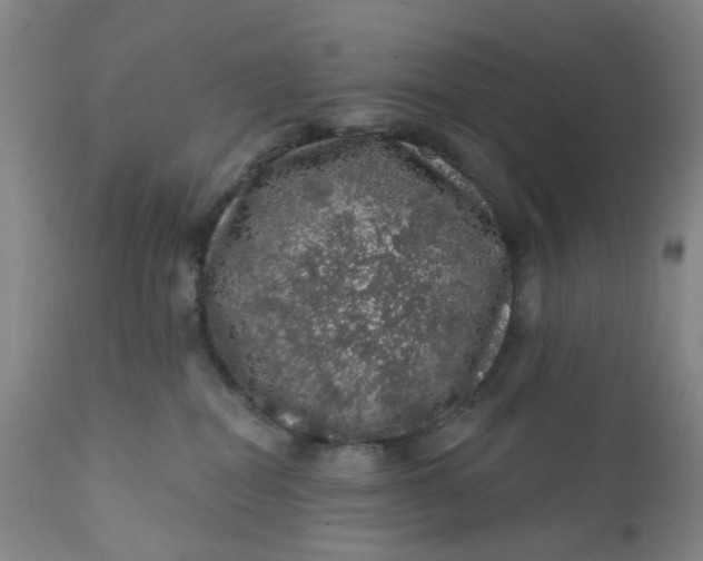 X0000112160282200908281411