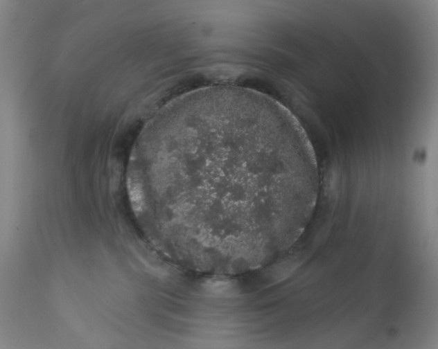 X0000112160283200908281411