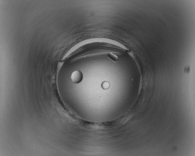 X0000112160284200908281411