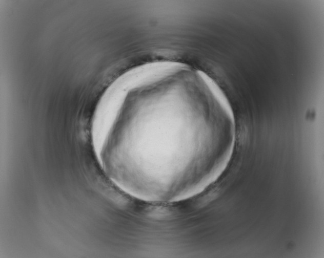 X0000112160285200908281411