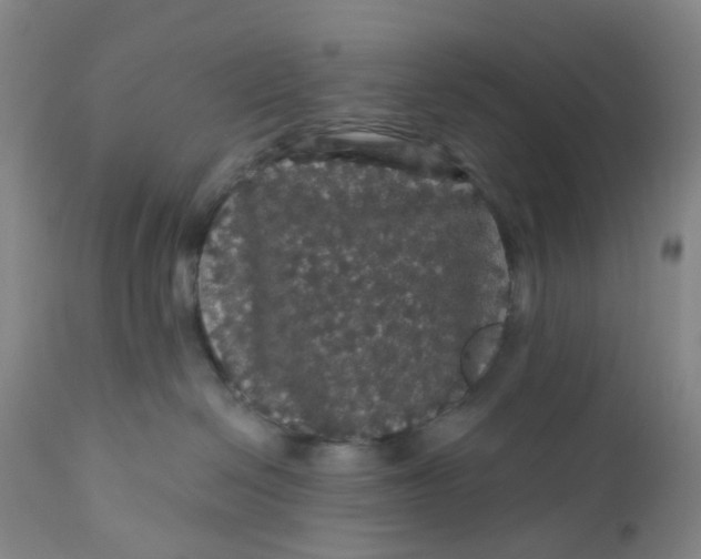 X0000112160286200908281411