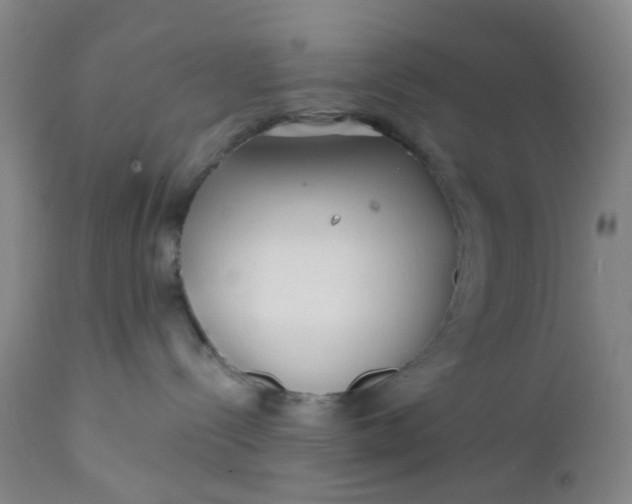 X0000112160288200908281411